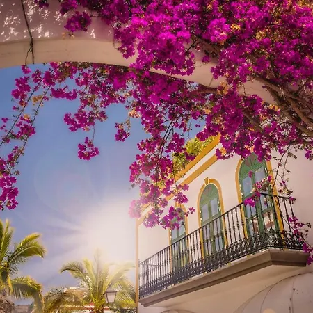 20 Metres From The Sea In Puerto De Mogan